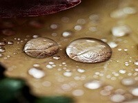 Wudhu Sesuai Petunjuk Rasul (1)